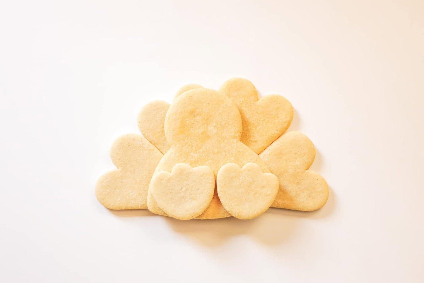 🦃 Turkey Time DIY Cookie Kit